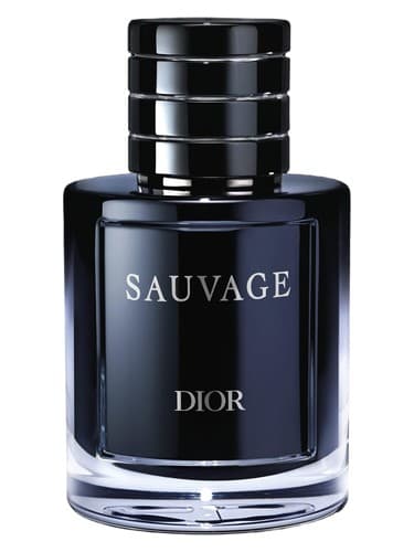 Sauvage Elixir